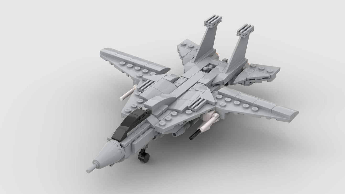 F-14 Tomcat